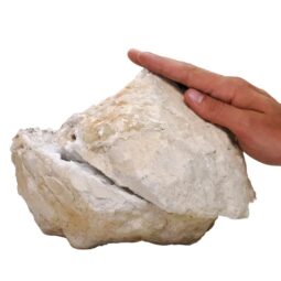 Natural Calcite Geode Pair J2173 | Crystal Factory