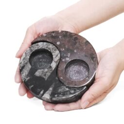Orthoceras Ying Yang Shaped Tealight Holder | Crystal Factory