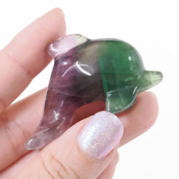 Rainbow Fluorite Mini Crystal Dolphin | Crystal Factory