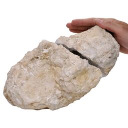 Natural Calcite Geode Pair S1528 | Crystal Factory