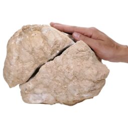 Natural Calcite Geode Pair S1530 | Crystal Factory