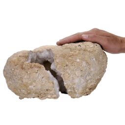 Natural Calcite Geode Pair S1531 | Crystal Factory
