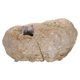 Natural Calcite Geode Pair S1531 | Crystal Factory