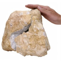 Natural Calcite Geode Pair S1532 | Crystal Factory