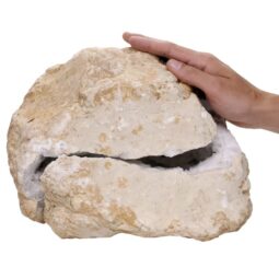 Natural Calcite Geode Pair S1533 | Crystal Factory