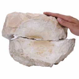 Natural Calcite Geode Pair S1534 | Crystal Factory