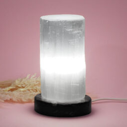 Selenite Lamp with Ancient Fossil Orthoceras Base 15cm | Crystal Factory