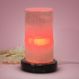 Selenite Lamp with Ancient Fossil Orthoceras Base 15cm | Crystal Factory