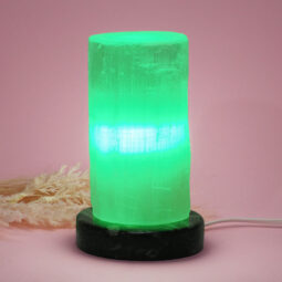 Selenite Lamp with Ancient Fossil Orthoceras Base 15cm | Crystal Factory