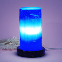 Selenite Lamp with Ancient Fossil Orthoceras Base 15cm | Crystal Factory