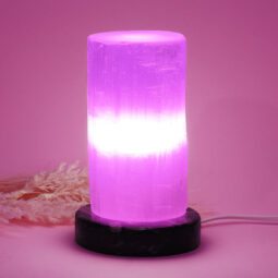 Selenite Lamp with Ancient Fossil Orthoceras Base 15cm | Crystal Factory