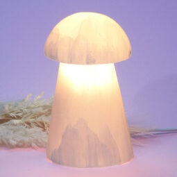 Selenite Mushroom Lamp 15cm | Crystal Factory