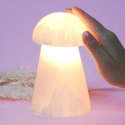 Selenite Mushroom Lamp 15cm | Crystal Factory