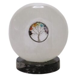 Selenite Sphere Tree of Life Orthoceras | Crystal Factory