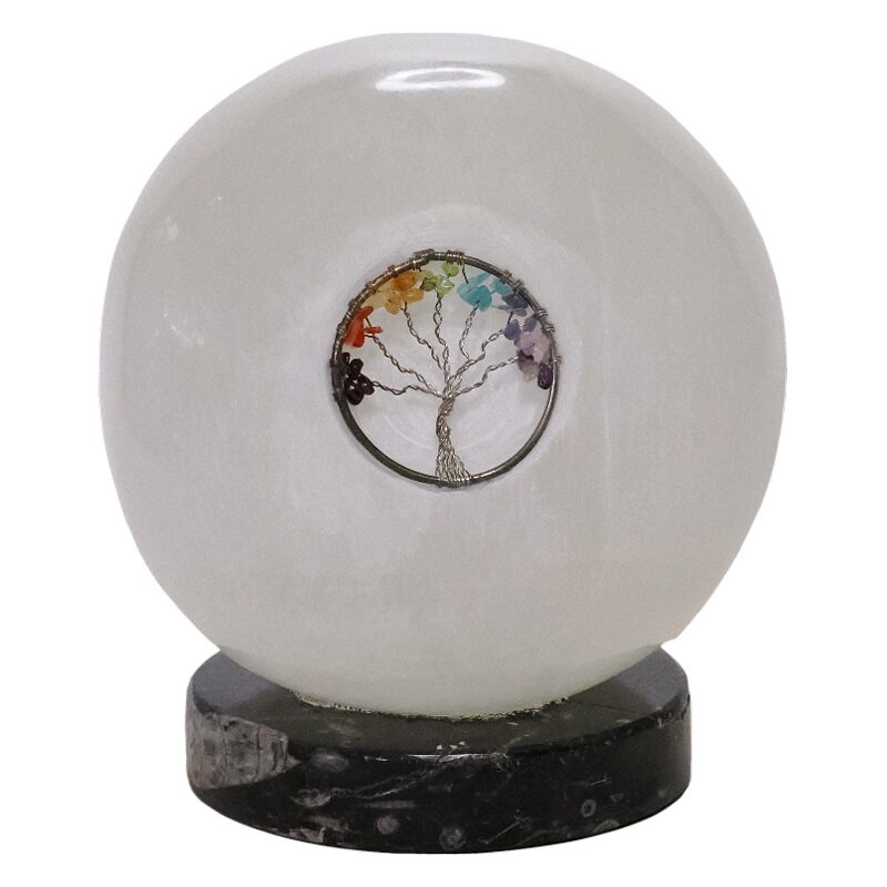 Selenite Sphere Tree of Life Lamp Orthoceras Base - Energy Efficient 3 Selenite Sphere Tree of Life Orthoceras | Crystal Factory