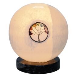 Selenite Sphere Tree of Life Orthoceras | Crystal Factory