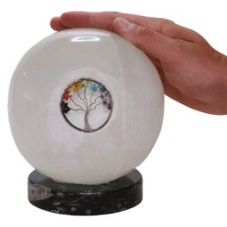 Selenite Sphere Tree of Life Lamp Orthoceras Base - Energy Efficient 7 Selenite Sphere Tree of Life Orthoceras | Crystal Factory