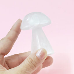 Selenite Tiny Mushroom 6cm | Crystal Factory