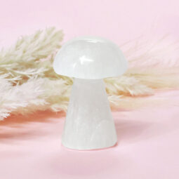 Selenite Tiny Mushroom 6cm | Crystal Factory