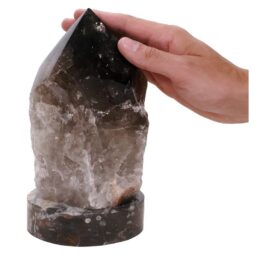Smoky Quartz Lamp Orthoceras | Crystal Factory