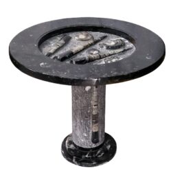 Ancient Fossil Orthoceras Stone Table | Crystal Factory