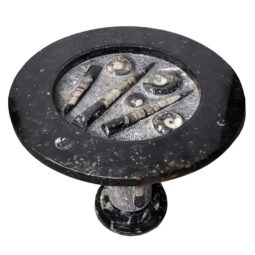 Ancient Fossil Orthoceras Stone Table | Crystal Factory