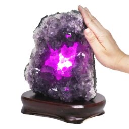 4.54kg Amethyst Lamp on Wooden Base - Purple LED Bulb DB741 6 Amethyst Lamp on Wooden Base – Purple LED Bulb DB741 | Crystal Factory