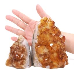 Citrine Cluster Specimen Set 2 Pieces DK1175 | Crystal Factory