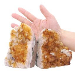 Citrine Cluster Specimen Set 2 Pieces DK1178 | Crystal Factory