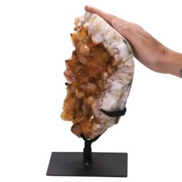 4.9kg Citrine Cluster on Metal Stand DS2932 5 Citrine Cluster on Stand DS2932 | Crystal Factory