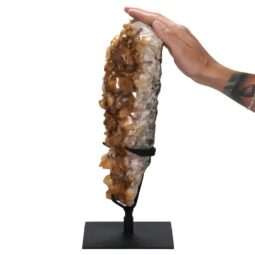 Citrine Cluster on Stand DS2933 | Crystal Factory