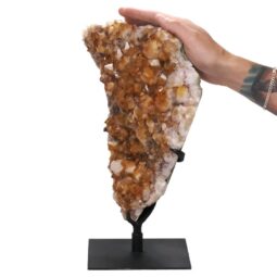 4.8kg Citrine Cluster on Metal Stand DS2934 5 Citrine Cluster on Stand DS2934 | Crystal Factory