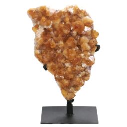 Citrine Cluster on Stand DS2935 | Crystal Factory