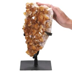 3.9kg Citrine Cluster on Metal Stand DS2935 5 Citrine Cluster on Stand DS2935 | Crystal Factory