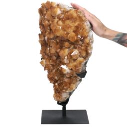 18.4kg Citrine Cluster on Metal Stand DS2936 5 18.4kg Citrine Cluster on Metal Stand DS2936 | Crystal Factory