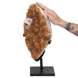 8kg Citrine Cluster on Metal Stand DS2957 5 Citrine Cluster on Metal Stand DS2957 | Crystal Factory