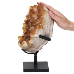6.6kg Citrine Cluster on Metal Stand DS2958 5 Citrine Cluster on Metal Stand DS2958 | Crystal Factory