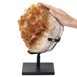 Citrine Cluster on Metal Stand DS2959 | Crystal Factory