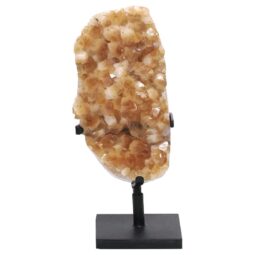 Citrine Cluster on Metal Stand DS2960 | Crystal Factory