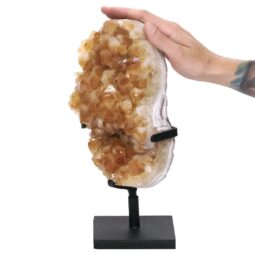 4.4kg Citrine Cluster on Metal Stand DS2960 5 Citrine Cluster on Metal Stand DS2960 | Crystal Factory