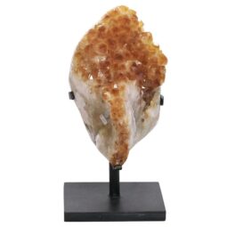 Citrine Cluster on Metal Stand DS2962 | Crystal Factory