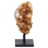 Citrine Cluster on Metal Stand DS2965 | Crystal Factory