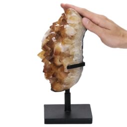 Citrine Cluster on Metal Stand DS2965 | Crystal Factory
