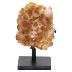 Citrine Cluster on Metal Stand DS2966 | Crystal Factory
