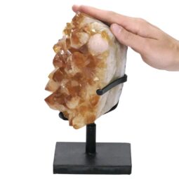 Citrine Cluster on Metal Stand DS2966 | Crystal Factory