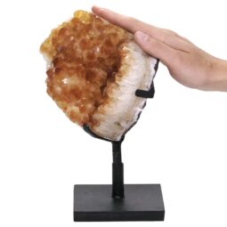 3.4kg Citrine Cluster on Metal Stand DS2967 5 Citrine Cluster on Metal Stand DS2967 | Crystal Factory