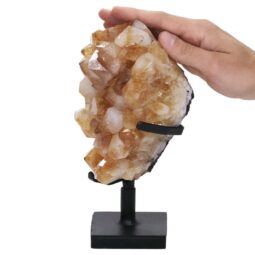 2.2kg Citrine Cluster on Metal Stand DS2969 5 Citrine Cluster on Metal Stand DS2969 | Crystal Factory
