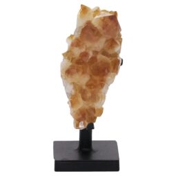 Citrine Cluster on Metal Stand DS2970 | Crystal Factory