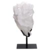 Clear Quartz Cluster on Stand DS2973 | Crystal Factory