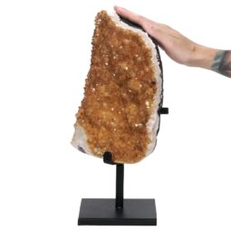 Citrine Cluster on Metal Stand DS2981 | Crystal Factory